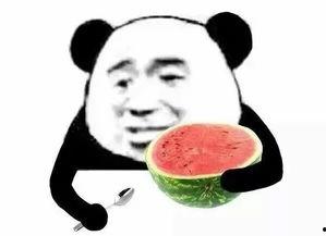 终生皆苦娱乐吃瓜酱,揭秘苦中作乐的生活哲学